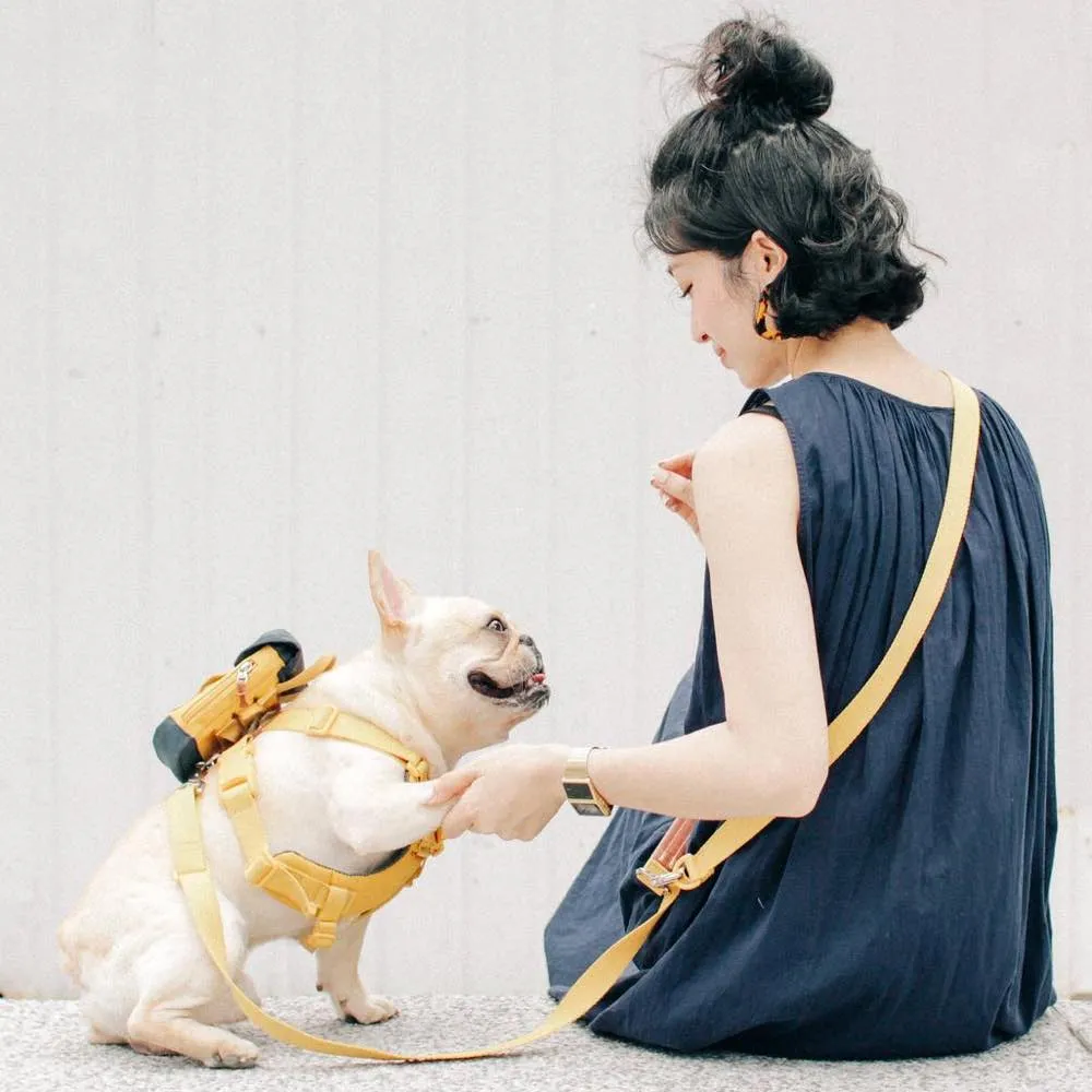 Sputnik Multi-Function Nylon Dog Leash (Yellow)